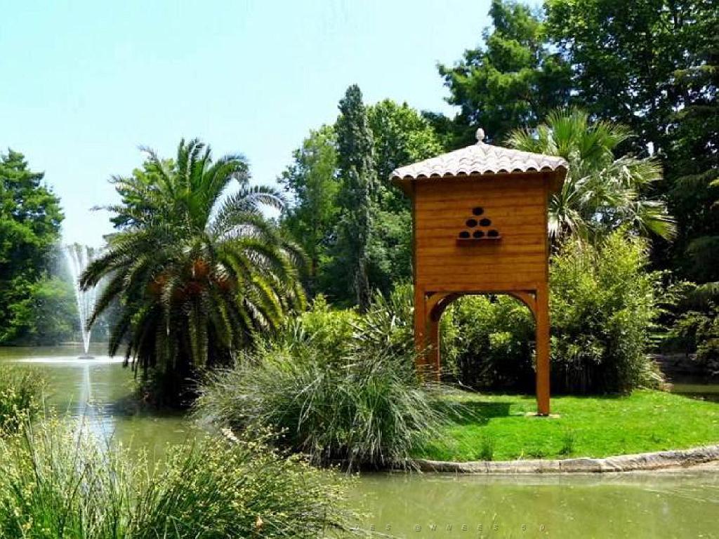 183 D35 PARC OLBIUS RIQUIER A HYERES_000039.jpg
